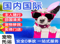 白塔机场货运国际宠物托运 【国
